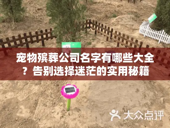 宠物殡葬公司名字有哪些大全？告别选择迷茫的实用秘籍