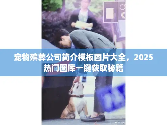 宠物殡葬公司简介模板图片大全，2025热门图库一键获取秘籍