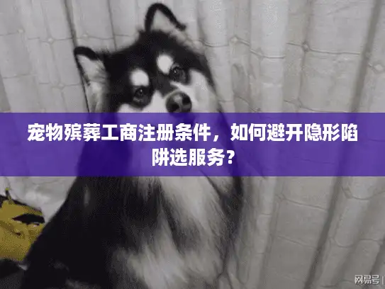 宠物殡葬工商注册条件，如何避开隐形陷阱选服务？