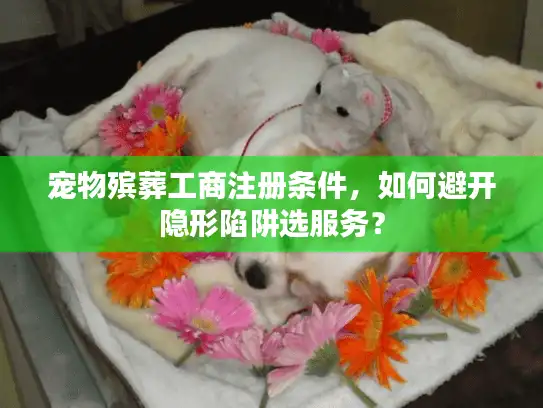 宠物殡葬工商注册条件，如何避开隐形陷阱选服务？