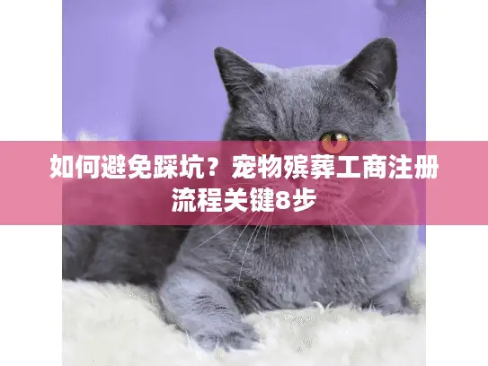 如何避免踩坑？宠物殡葬工商注册流程关键8步