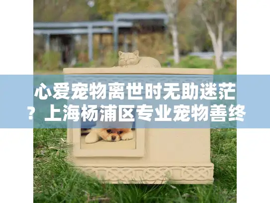 心爱宠物离世时无助迷茫？上海杨浦区专业宠物善终服务全指南