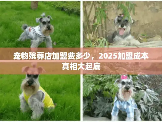 宠物殡葬店加盟费多少，2025加盟成本真相大起底