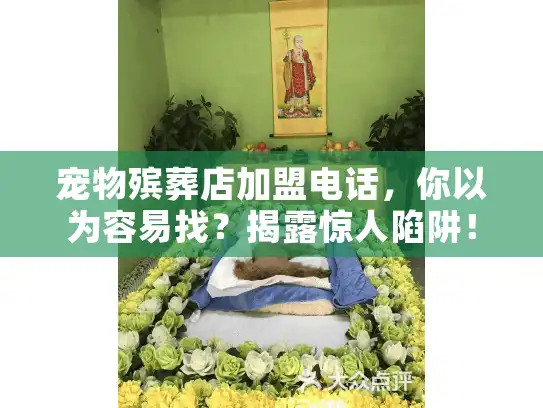 宠物殡葬店加盟电话，你以为容易找？揭露惊人陷阱！