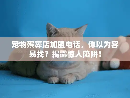 宠物殡葬店加盟电话，你以为容易找？揭露惊人陷阱！