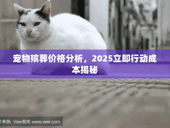 宠物殡葬价格分析，2025立即行动成本揭秘