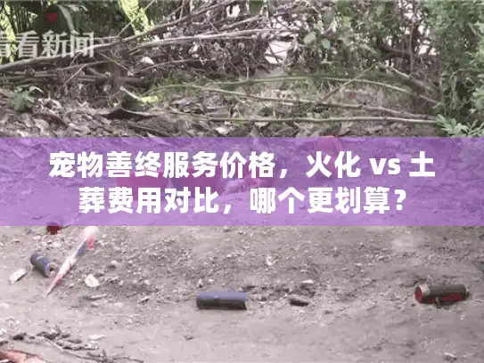 宠物善终服务价格，火化 vs 土葬费用对比，哪个更划算？