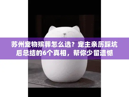 苏州宠物殡葬怎么选？宠主亲历踩坑后总结的6个真相，帮你少留遗憾