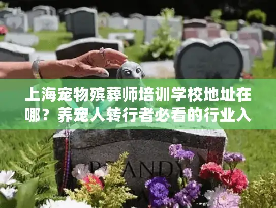 上海宠物殡葬师培训学校地址在哪？养宠人转行者必看的行业入门真相