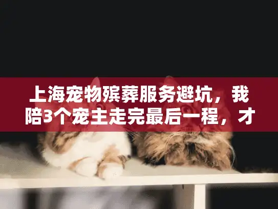 上海宠物殡葬服务避坑，我陪3个宠主走完最后一程，才懂这些真相