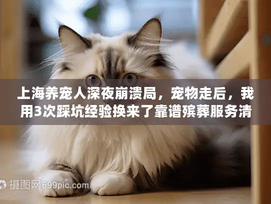 上海养宠人深夜崩溃局，宠物走后，我用3次踩坑经验换来了靠谱殡葬服务清单