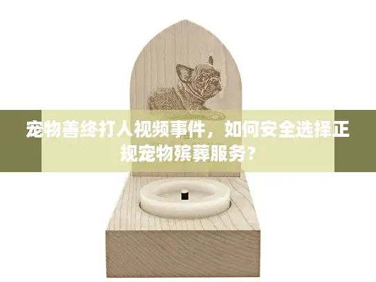 宠物善终打人视频事件，如何安全选择正规宠物殡葬服务？