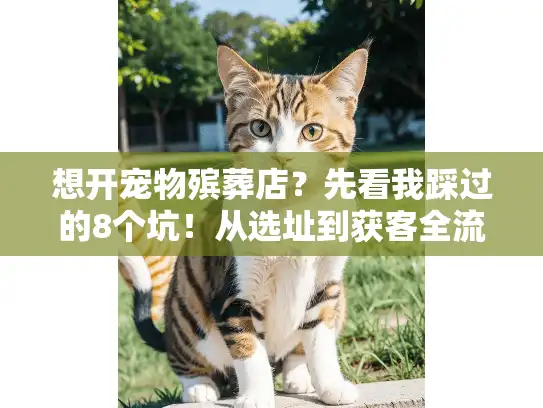 想开宠物殡葬店？先看我踩过的8个坑！从选址到获客全流程曝光