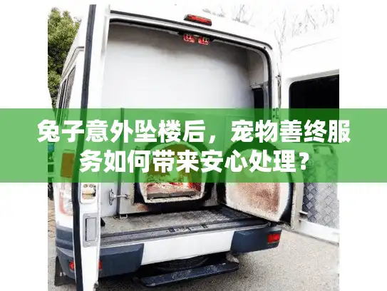 兔子意外坠楼后，宠物善终服务如何带来安心处理？
