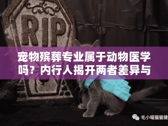 宠物殡葬专业属于动物医学吗？内行人揭开两者差异与选择关键