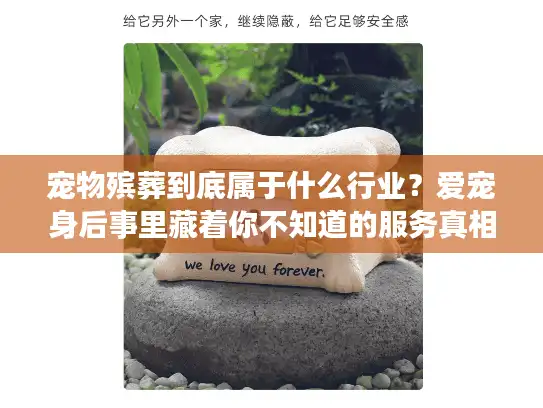 宠物殡葬到底属于什么行业？爱宠身后事里藏着你不知道的服务真相