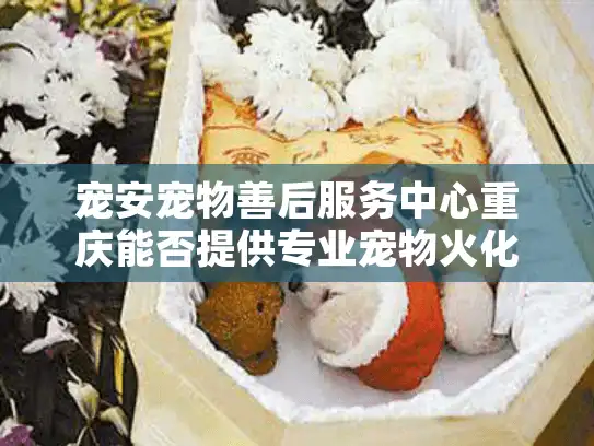 宠安宠物善后服务中心重庆能否提供专业宠物火化告别仪式？