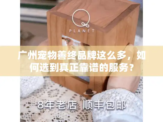 广州宠物善终品牌这么多，如何选到真正靠谱的服务？