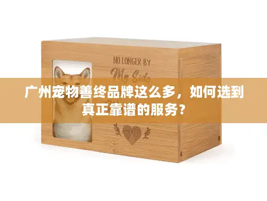 广州宠物善终品牌这么多，如何选到真正靠谱的服务？