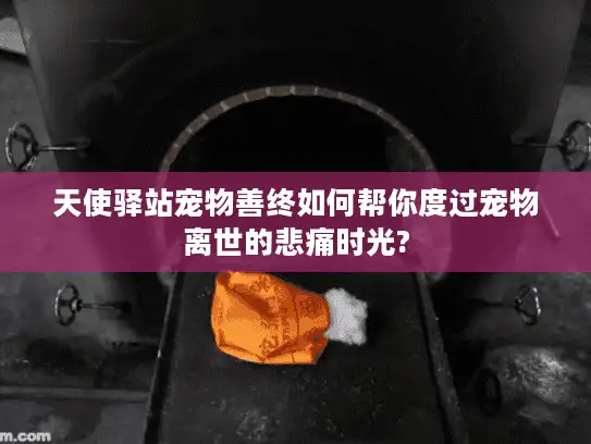 天使驿站宠物善终如何帮你度过宠物离世的悲痛时光?