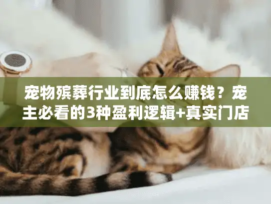 宠物殡葬行业到底怎么赚钱？宠主必看的3种盈利逻辑+真实门店案例