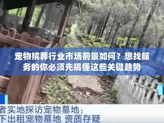 宠物殡葬行业市场前景如何？想找服务的你必须先搞懂这些关键趋势