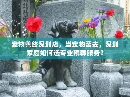 宠物善终深圳店，当宠物离去，深圳家庭如何选专业殡葬服务？