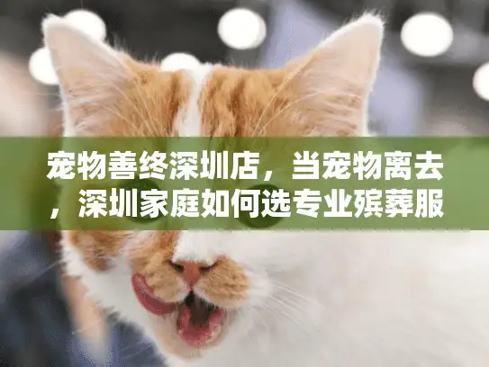 宠物善终深圳店，当宠物离去，深圳家庭如何选专业殡葬服务？