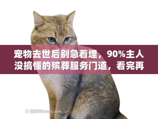 宠物去世后别急着埋，90%主人没搞懂的殡葬服务门道，看完再做决定