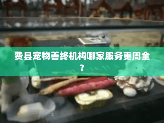 费县宠物善终机构哪家服务更周全?