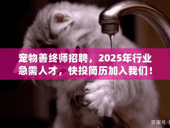 宠物善终师招聘，2025年行业急需人才，快投简历加入我们！