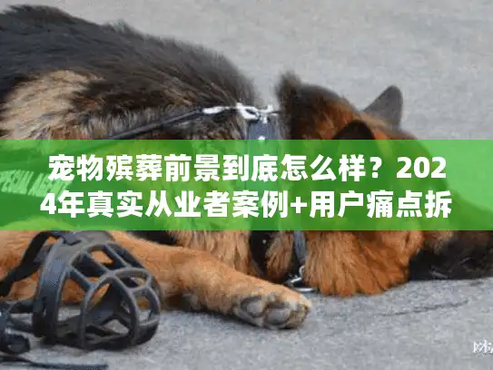 宠物殡葬前景到底怎么样？2024年真实从业者案例+用户痛点拆解