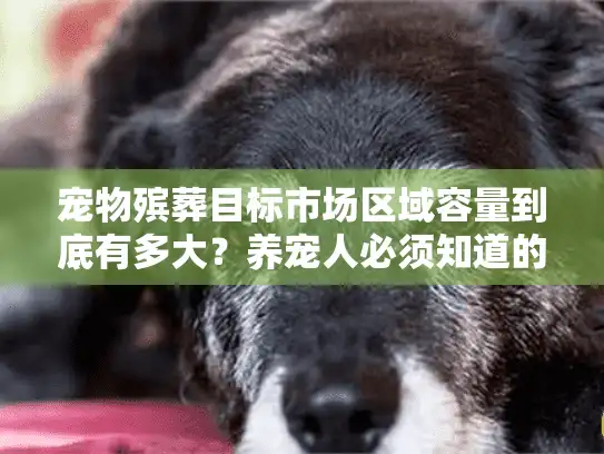 宠物殡葬目标市场区域容量到底有多大？养宠人必须知道的真实需求与行业真相