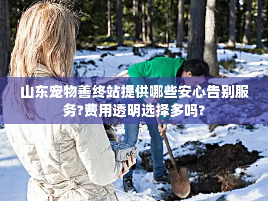 山东宠物善终站提供哪些安心告别服务?费用透明选择多吗?