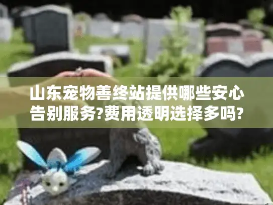 山东宠物善终站提供哪些安心告别服务?费用透明选择多吗?