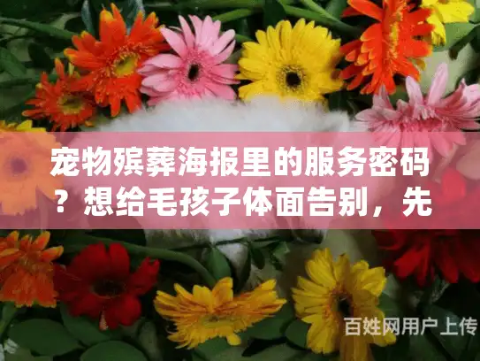 宠物殡葬海报里的服务密码？想给毛孩子体面告别，先看懂这5个细节