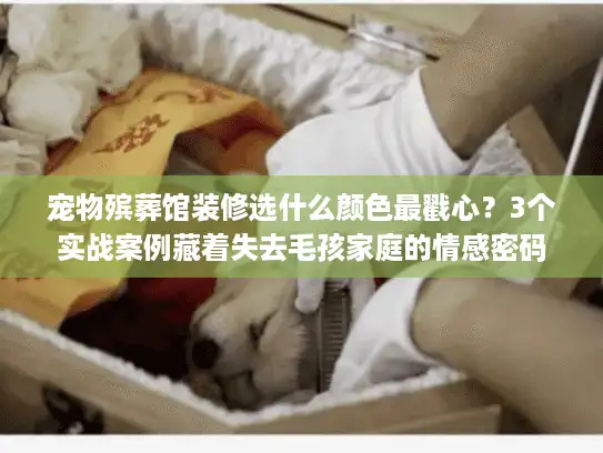 宠物殡葬馆装修选什么颜色最戳心？3个实战案例藏着失去毛孩家庭的情感密码