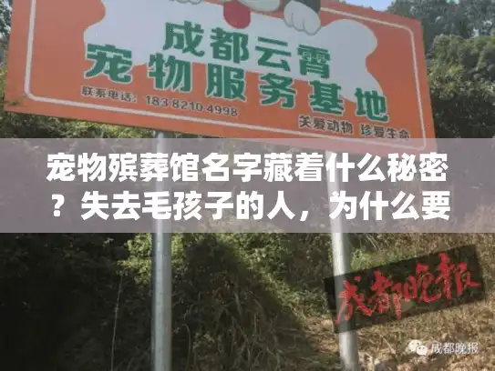 宠物殡葬馆名字藏着什么秘密？失去毛孩子的人，为什么要先看名字选服务？