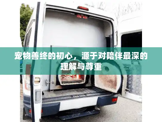 宠物善终的初心，源于对陪伴最深的理解与尊重