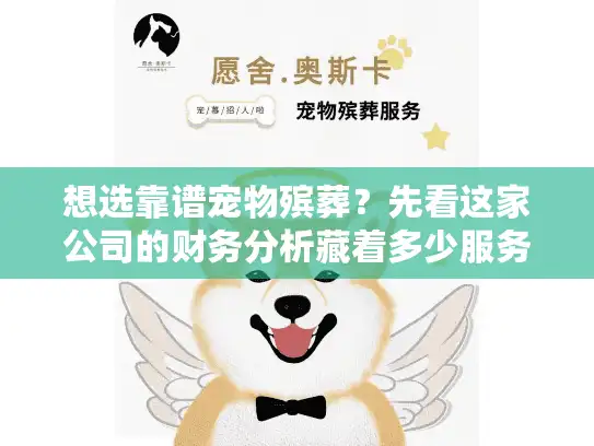 想选靠谱宠物殡葬？先看这家公司的财务分析藏着多少服务真相