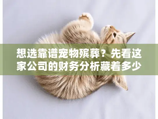 想选靠谱宠物殡葬？先看这家公司的财务分析藏着多少服务真相