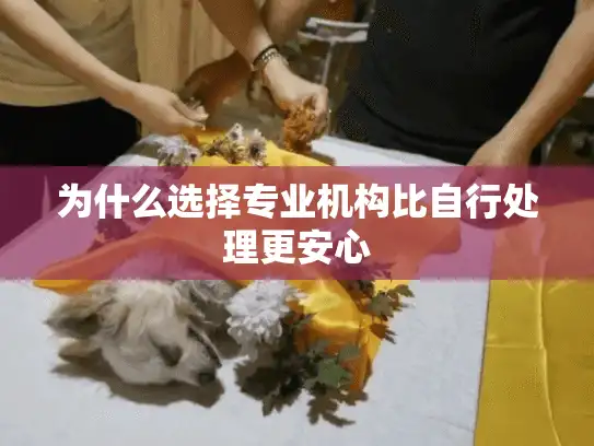 为什么选择专业机构比自行处理更安心