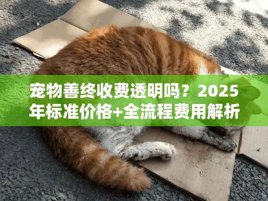 宠物善终收费透明吗？2025年标准价格+全流程费用解析