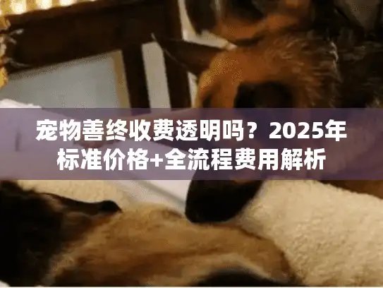 宠物善终收费透明吗？2025年标准价格+全流程费用解析
