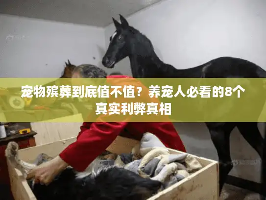 宠物殡葬到底值不值？养宠人必看的8个真实利弊真相