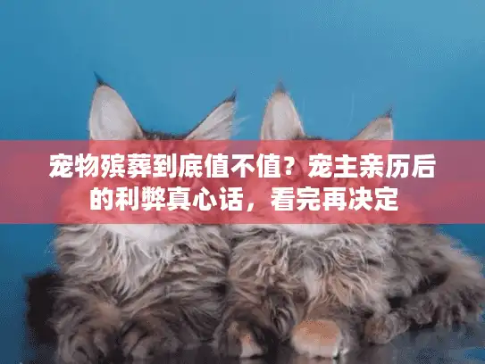 宠物殡葬到底值不值？宠主亲历后的利弊真心话，看完再决定