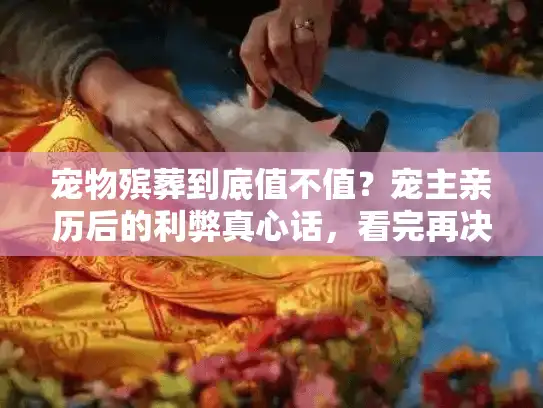 宠物殡葬到底值不值？宠主亲历后的利弊真心话，看完再决定