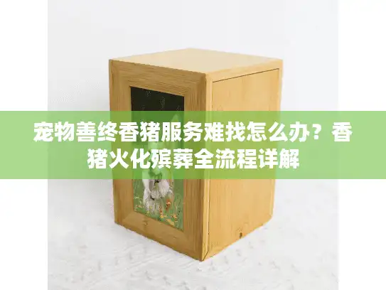 宠物善终香猪服务难找怎么办？香猪火化殡葬全流程详解