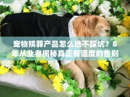 宠物殡葬产品怎么选不踩坑？8年从业者揭秘真正有温度的告别工具