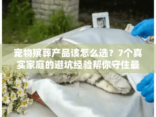 宠物殡葬产品该怎么选？7个真实家庭的避坑经验帮你守住最后一份温柔